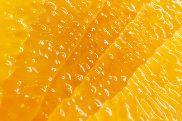 Juicy cut of ripe orange, copy space