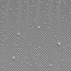 Drops of water, dew falls. Rain or shower drops isolated on transparent background. Realistic pure water droplets condensed. Vector clear vapor bubbles on window glass surface for your design. - obrazy, fototapety, plakaty