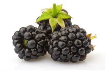 Ripe blackberries with green leaves isolated on white