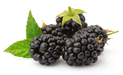 Ripe blackberries with green leaves isolated on white