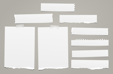 White torn note, notebook paper pieces with torn edges stuck on gray backgroud. Vector illustration.