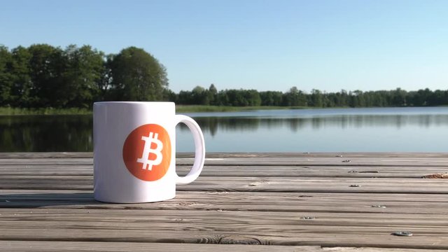 White cup on the lake. A wooden bridge in the background. Water and Trees..