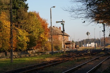 Skwierzyna