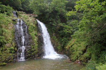 Fototapeta na wymiar 銀山温泉 白銀の滝