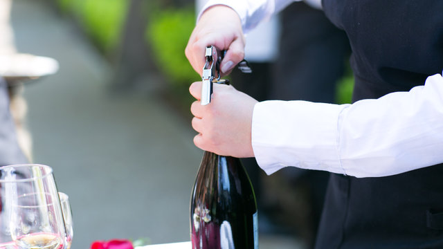 Vino