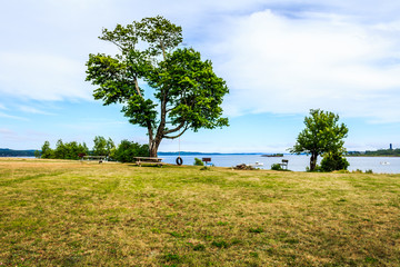 Fototapeta premium Tire Swing and picnic area