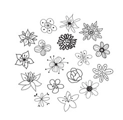collection of botanical hand drawn doodles. meadow plants and flowers elements. pencil ink sketch of flowers and leaves. vector set of decorative elements. 