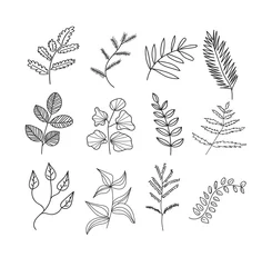 Fototapete Aquarell Natur Set Sammlung von botanischen handgezeichneten Kritzeleien. Wiesenpflanzen und Blumenelemente. Bleistift-Tinten-Skizze von Blumen und Blättern. Vektor-Set von dekorativen Elementen.