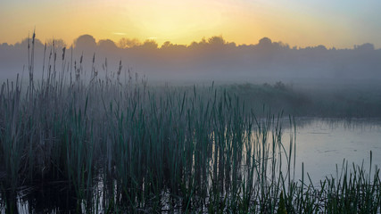 Fototapeta na wymiar Morning Mist At The River