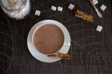 Cup of Cocoa, Cinnamon Sticks and Sugar Cubes