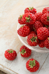 hybrid strasberry fruit in dish