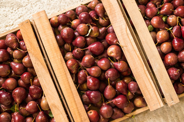 Fresh red pears in the drawer, top view.