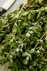 preparing fresh herb thyme