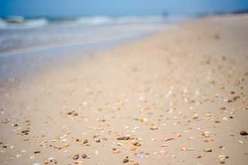 beach background selective focus, sand, seashells and blue summer sky
