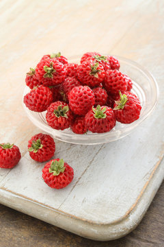 hybrid strasberry fruit in dish
