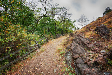 Dirty ground road through a forest on the mount slope