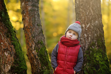 Little boy during stroll in the forest at sunny autumn day