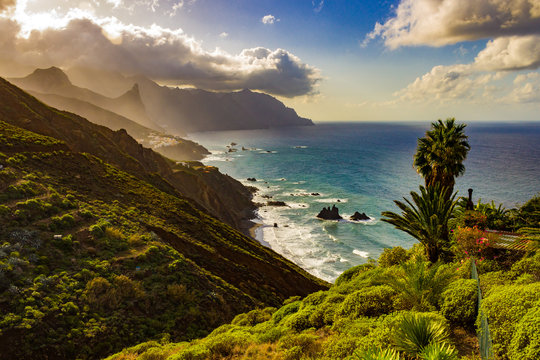 Sea view with vegetation, palms, rocky sea coast and cloudy sky in the north of the Tenerife island