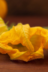 Bright yellow flower petals from squash close up, wood background.