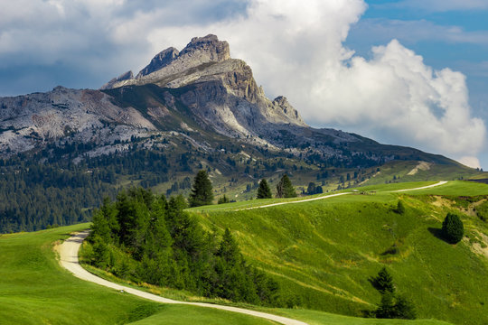 Gravel path on a green grass hill with trees and rock moutain in background
