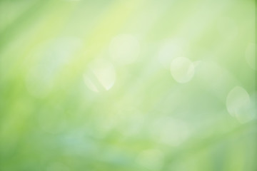 green background with bokeh