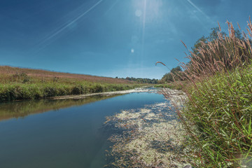 Not wide river, green red grass, blue sky and sun rays 