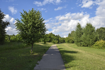 Fototapeta na wymiar green summer landscape road to forest blue sky with clouds trees asphalt road