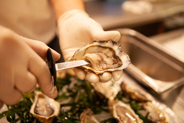 Chef shuck fresh oysters with knife. Raw oysters are packed with nutrition, high in calcium,...