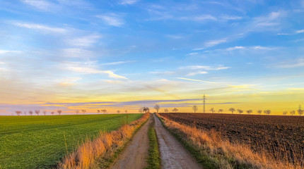 Muddy country road dividing green meadow and brown plowed field, trees on the horizon and blue cloudy sky during the sunset