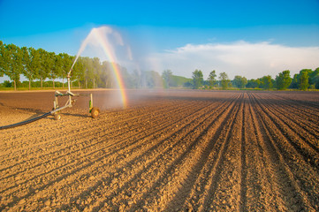 irrigate the fields