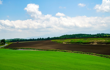 産山村　麦畑　トラクター