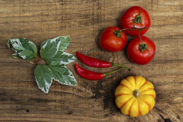 Vegetais: Tomate, Pimenta, Abóbora Mini