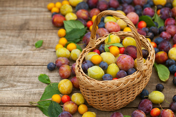 variety of plums on wooden surface