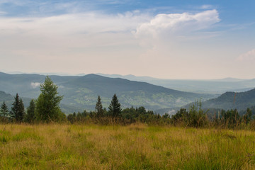 Yellow landscape of the Carpathian Mountains after rain