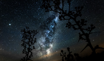 Milky way on winter 2 © juancruz