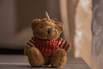 Teddy bear is like alive.
