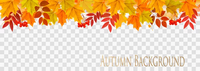 Poster Abstract autumn panorama with colorful leaves on transparent background Vector © ecco