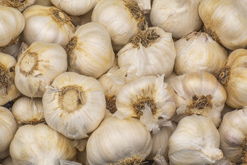 garlic at farmers market in northern California