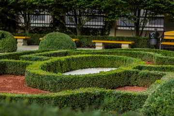 empty back yard garden interior concept with green grass flower bed and small trails for walking without people