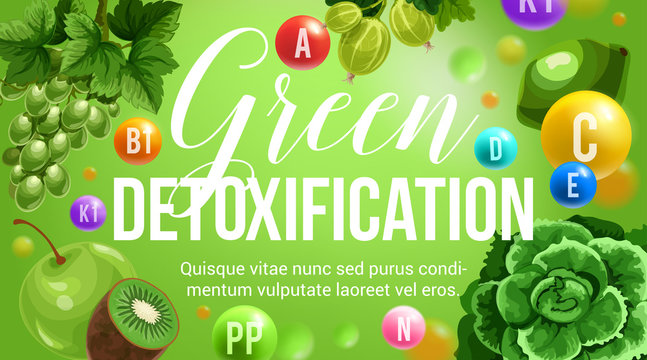 Green diet vector natural detoxification vitamins