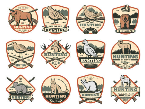 Hunting club, wild animals and ammo icons