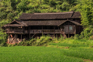Fototapeta na wymiar Old Farm House surrounded by green fields of grass and trees. Countryside of China, Farming, agriculture, farmland, Chinese architecture, Rice Fields, wood construction and trees. Summertime