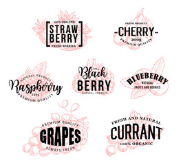 Natural berries vector sketch lettering