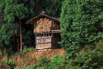 Old Farm House surrounded by green trees. Hay storage facility, countryside of China, Farming, agriculture, farmland, Chinese architecture, wood construction and lush trees. Summertime, animal food