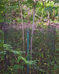 Protect young trees from deer, rabbits and small animals with wire fencing