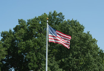 American flag waving in the breeze in front of a full, leafy green tree and a bright blue sky.