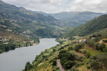 Douro River thru mountain 