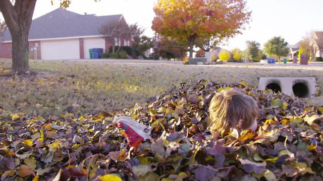 5 year old boy comforts grumpy toddler, then tackles him into pile of leaves
