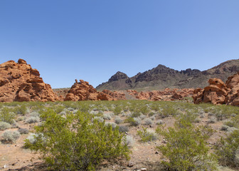 Southern Nevada Red Rocks and Mountains