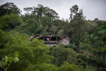 patriotic house in the middle of the forest